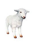 Lamb Baby Statue Life Size