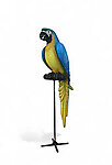 Parrot Blue Macaw 6FT large with Metal Stand