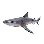 Silvertip Shark Life Size Statue Hanging 4FT