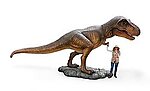T-Rex Statue Life Size Museum Quality 20 FT